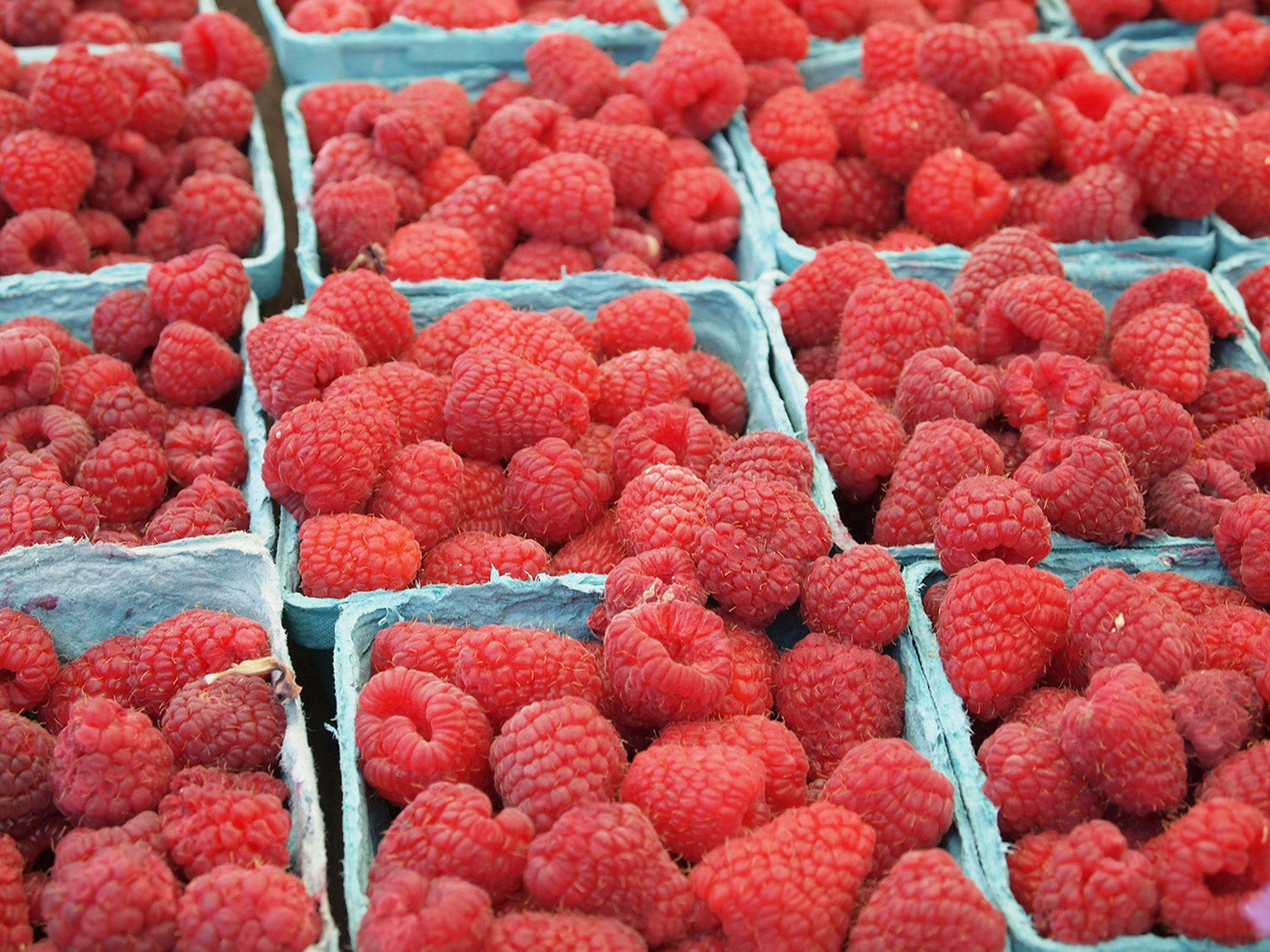 Berry Jams