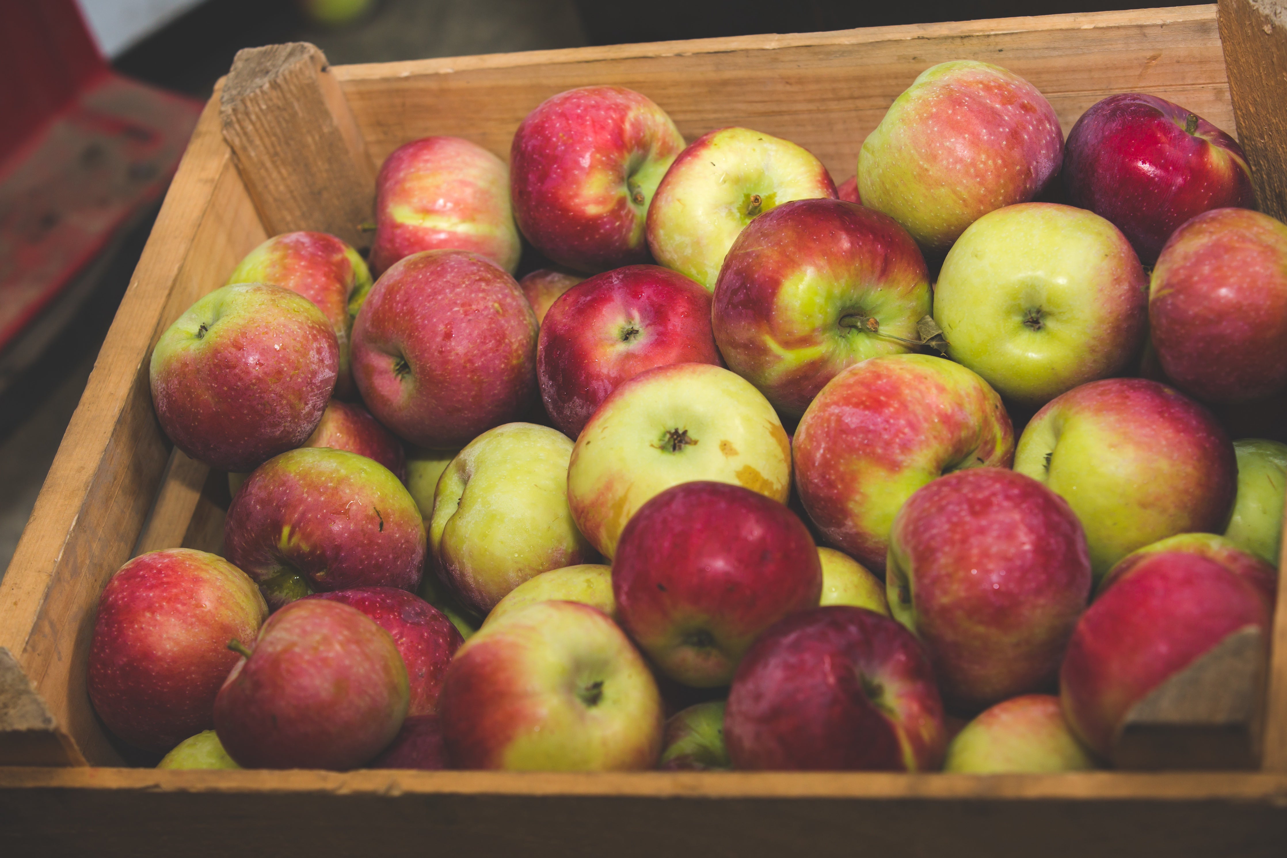 Dutch Apple Sauce