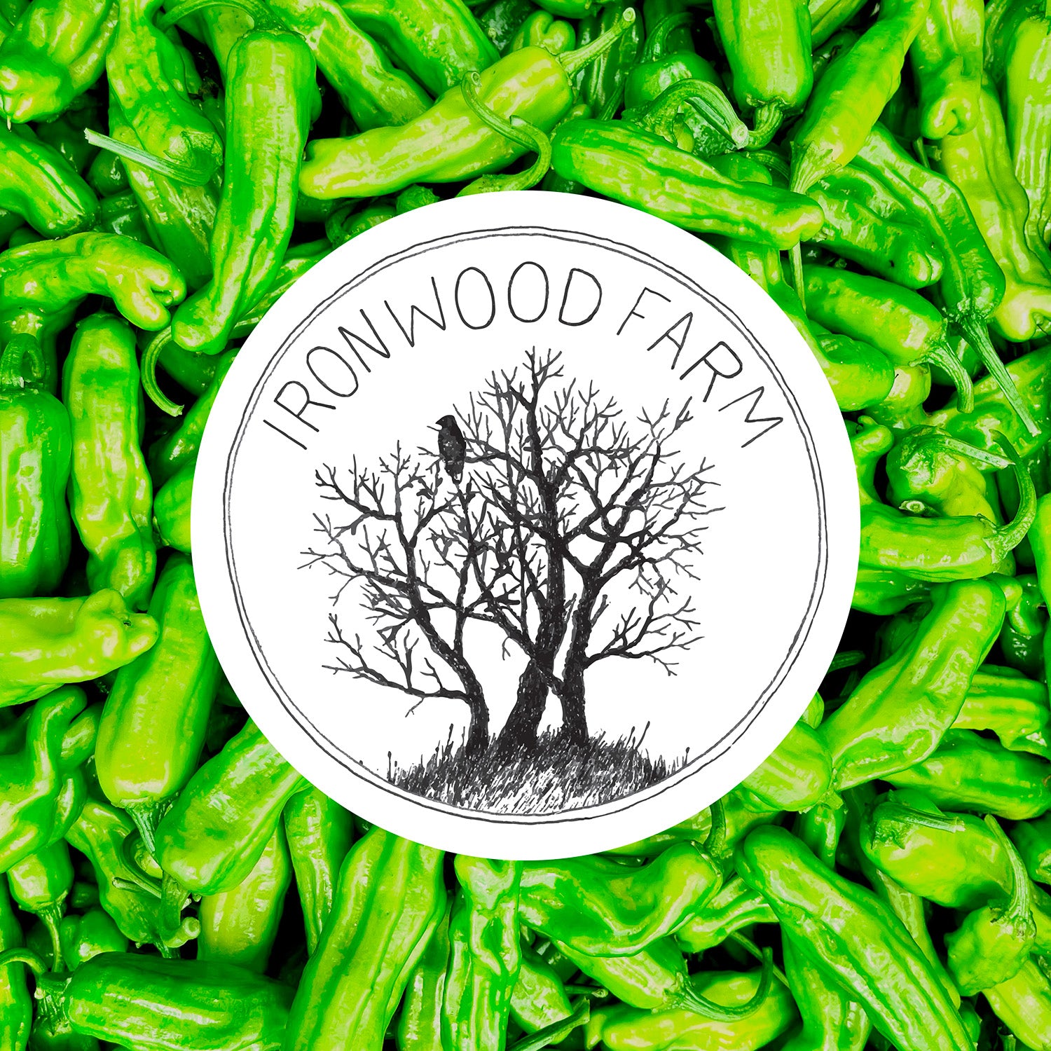 Ironwood Inferno Hot Sauce